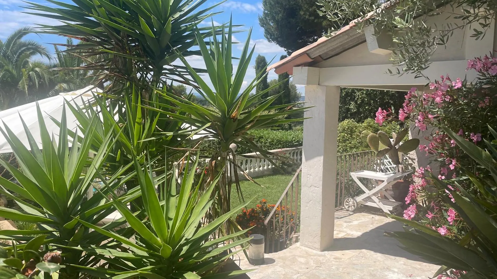 Bed & Breakfast La Bergerie B&B Vence